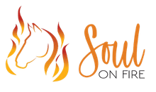 Soul On Fire Coaching